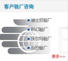 客户验厂咨询